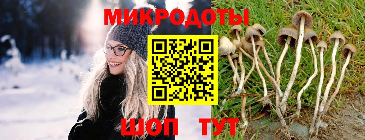 Галлюциногенные грибы GOLDEN TEACHER Звенигород